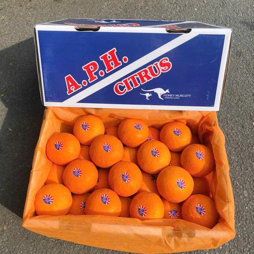 Quýt APH